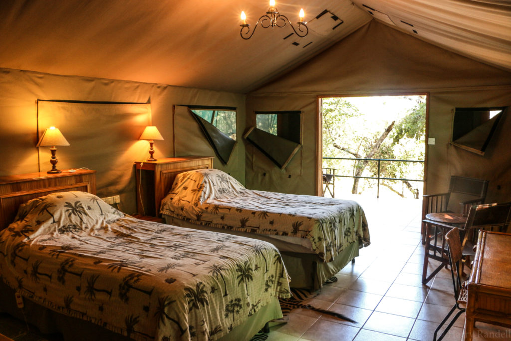 tented camp , luxury safari