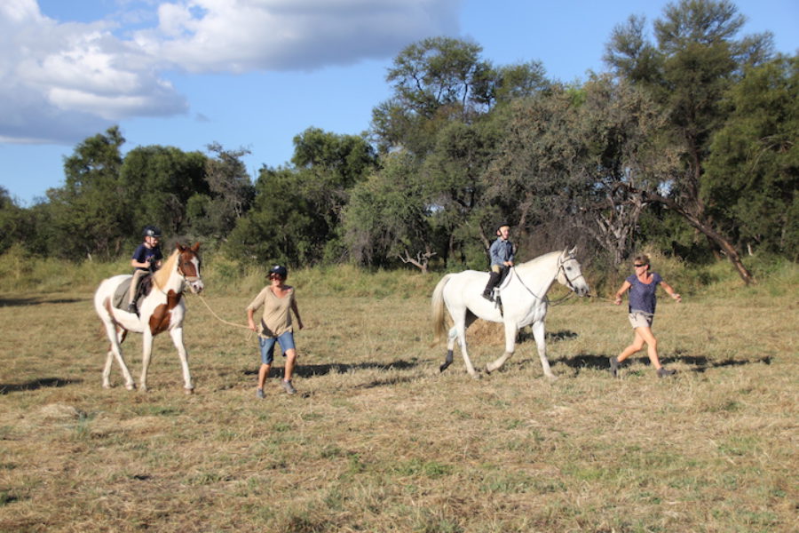 Horse Safaris on CWE